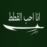 Я люблю котиков