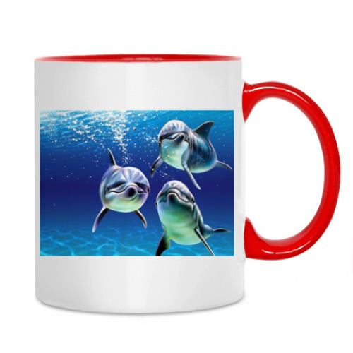 Кружка с принтом Delphins