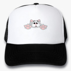Кепки Trucker