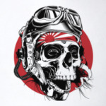 Череп камикадзе в шлеме