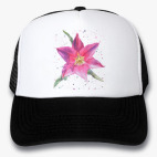 Кепки Trucker