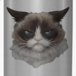 Grumpy Cat / Сердитый Кот