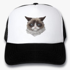 Кепки Trucker