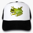 Кепки Trucker