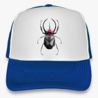 Кепка Trucker, синяя Жук