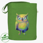 Совы, совы и снова совы