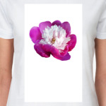 Нежный пион