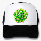 Кепки Trucker