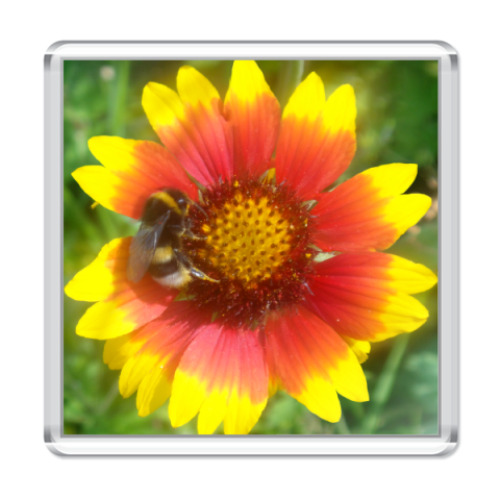 Магнит с принтом Шмель