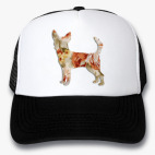 Кепки Trucker