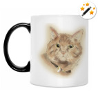 Кружка-хамелеон