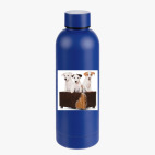 Термобутылка