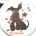 Осенний шнауцер