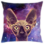 Кот в гиперпространстве