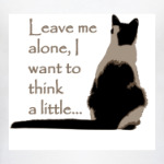 Отстаньте от меня