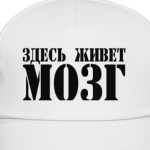 Здесь живет МОЗГ