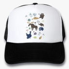 Кепки Trucker