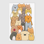 Смешные коты (funny cats)