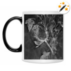 Кружка-хамелеон