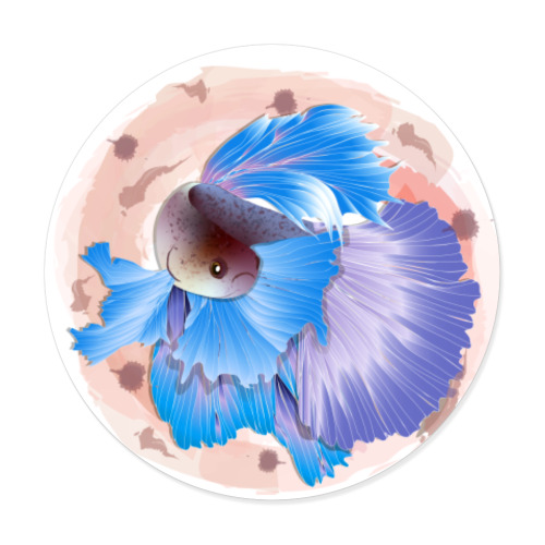 Виниловые наклейки с принтом Сиамская боевая рыбка