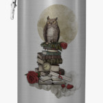 Мудрая сова и книги
