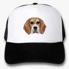 Кепки Trucker