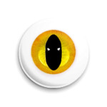  Кошкин Глаз