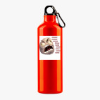 Металлическая бутылка 700 мл UV-DTF