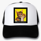 Кепки Trucker