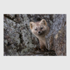 Постер 30 х 45 см Этот удивительный мир