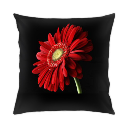 Подушка с принтом Гербера