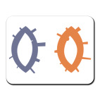 всевидящие око