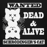 Кот Шрёдингера