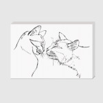 влюбленные коты