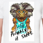 Примат Листа.