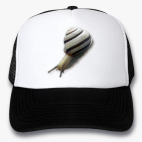 Кепки Trucker