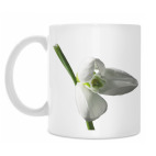 Весеннее настроение