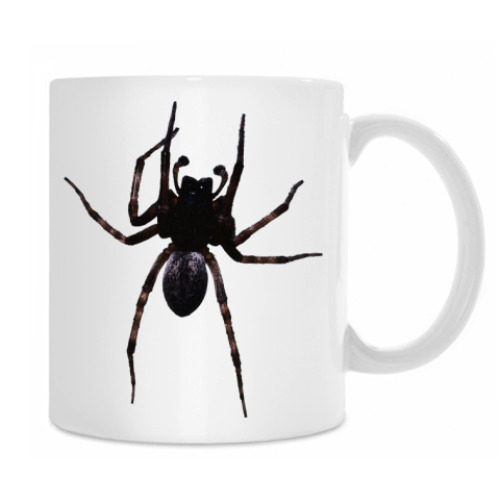 Кружка с принтом Паук