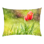 Подушка 47x35 см запах весны