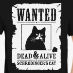 Кот Шрёдингера