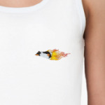 бордер колли