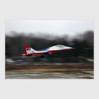 МиГ-29 'Стрижи'