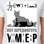 Котэ Шрёдингера
