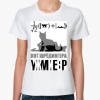 Котэ Шрёдингера