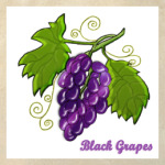 Black Grapes