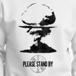 Fallout