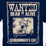 Кот Шрёдингера