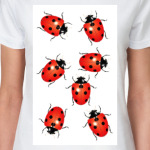 Божьи коровки