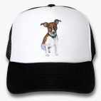 Кепки Trucker
