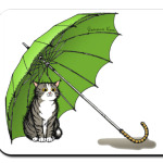 Мир меня любит